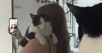 camille pet sitter à FONTENAY EN PARISIS 95190