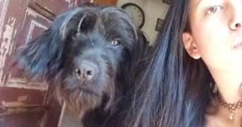 julia pet sitter à STE MAXIME 83120_9