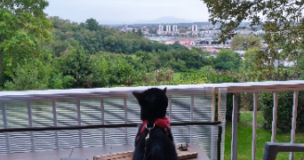 alexandra pet sitter à BAYONNE 64100_4