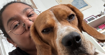 manisha pet sitter à CLAMART 92140_0