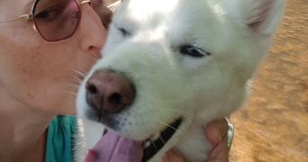corinne  pet sitter à RAZES 87640_3