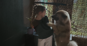 neila pet sitter à CASTELNAU LE LEZ 34170_2