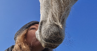 gabrielle pet sitter à LIGNIERES DE TOURAINE 37130_0