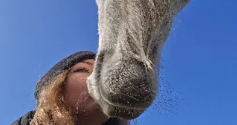 gabrielle pet sitter à LIGNIERES DE TOURAINE 37130