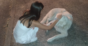 lucile pet sitter à LYON 08 69008_2