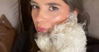 lola pet sitter à HAGUENAU 67500_0