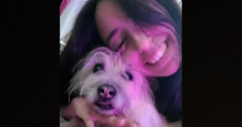 jade pet sitter à MARSEILLE 03 13003_1