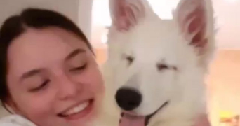 lucile pet sitter à QUIMPER 29000_4