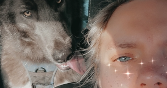 séverine pet sitter à CARVIN 62220_0