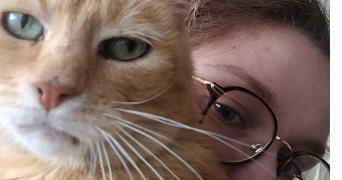 ynès pet sitter à PAULX 44270_0