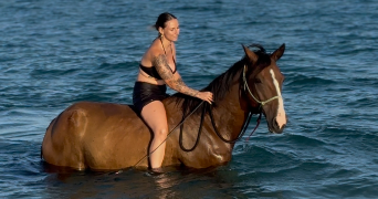 clémentine pet sitter à CABESTANY 66330_2