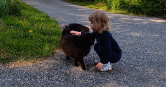 joelle pet sitter à CHONAS L AMBALLAN 38121_0