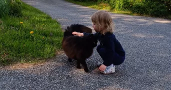joelle pet sitter à CHONAS L AMBALLAN 38121