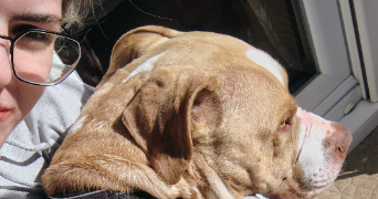 zoe pet sitter à MORTAIN BOCAGE 50140_2