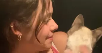 juliette pet sitter à MONGET 40700