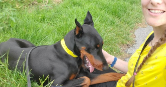 béryl pet sitter à RENNES 35000_2