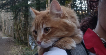 flavie pet sitter à CLERMONT FERRAND 63100_3