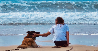 manon pet sitter à Ondres 40440_1