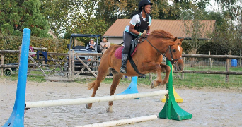 melody pet sitter à PARIS 13 75013_1