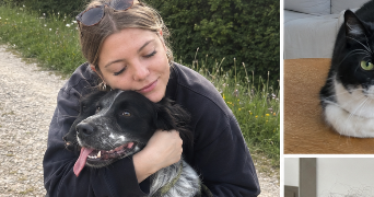 constance pet sitter à EVIAN LES BAINS 74500_2