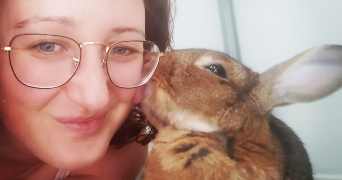 amandine pet sitter à BONREPOS SUR AUSSONNELLE 31470_0