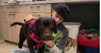 guillaume pet sitter à PIERRES 28130_0