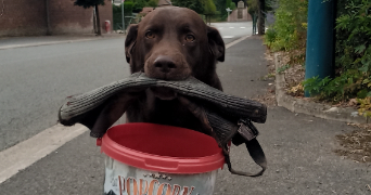 valérie pet sitter à VAUX ANDIGNY 02110_2