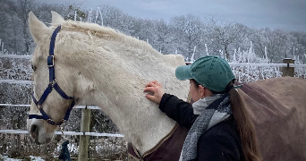 loanne pet sitter à Dijon 21000_5