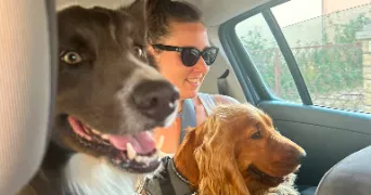 roberta pet sitter à MEAUX 77100
