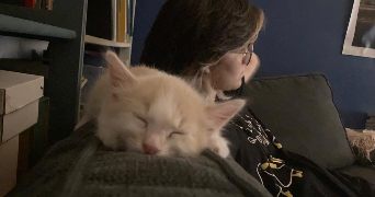 mina pet sitter à QUIMPER 29000_11