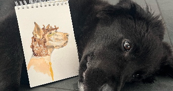 maëe pet sitter à SURESNES 92150_3