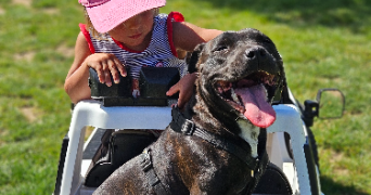 marlene pet sitter à AUNEAU BLEURY ST SYMPHORIEN 28700_53