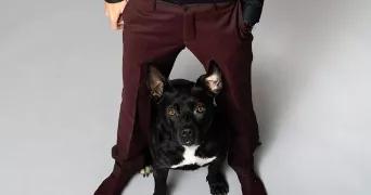 tobias pet sitter à VATHIMENIL 54122