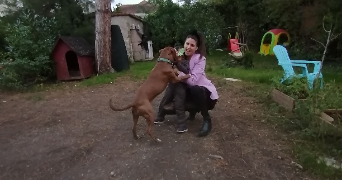 stacy pet sitter à AICIRITS CAMOU SUHAST 64120_0