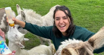 alyssia pet sitter à BORDEAUX 33000