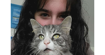 alice cat sitter à LILLE 59000_2
