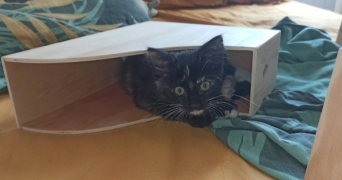 maëva pet sitter à CAHORS 46000_6