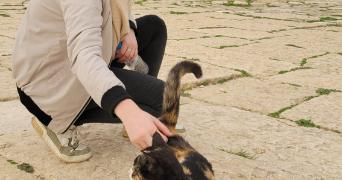 lila pet sitter à PLUMELEC 56420_6