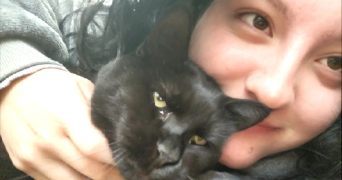 séphora pet sitter à CAULNES 22350_1