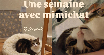 maela pet sitter à RENNES 35000_9