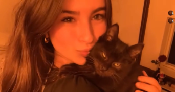 charlie pet sitter à TARBES 65000_1