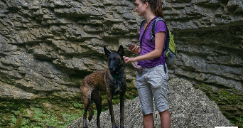 ilona pet sitter à LYON 07 69007_3