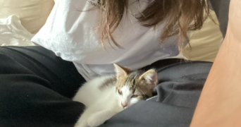 aïlée pet sitter à ST CYR SOUS DOURDAN 91410_1