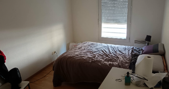 yris pet sitter à ANGOULEME 16000_2