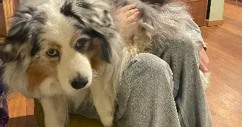 lucile pet sitter à VILLEURBANNE 69100