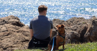 erwann pet sitter à ANGERS 49000_1