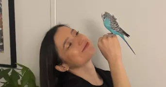 harriet pet sitter à MALAKOFF 92240