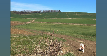 julie pet sitter à Saligny 89100_2