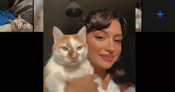 stephanie pet sitter à LA ROCHELLE 66000