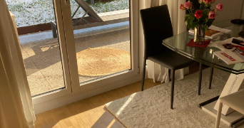béthanie pet sitter à RUEIL MALMAISON 92500_5